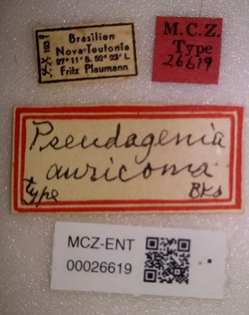 Media type: image;   Entomology 26619 Aspect: labels